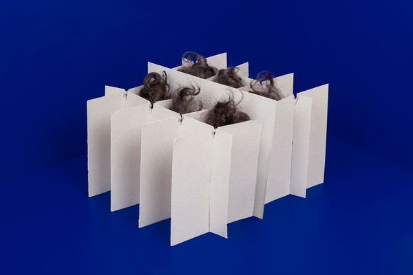 © Marie-Pierre Cravedi - Image from the My grandmother was called Camille Claudel photography project