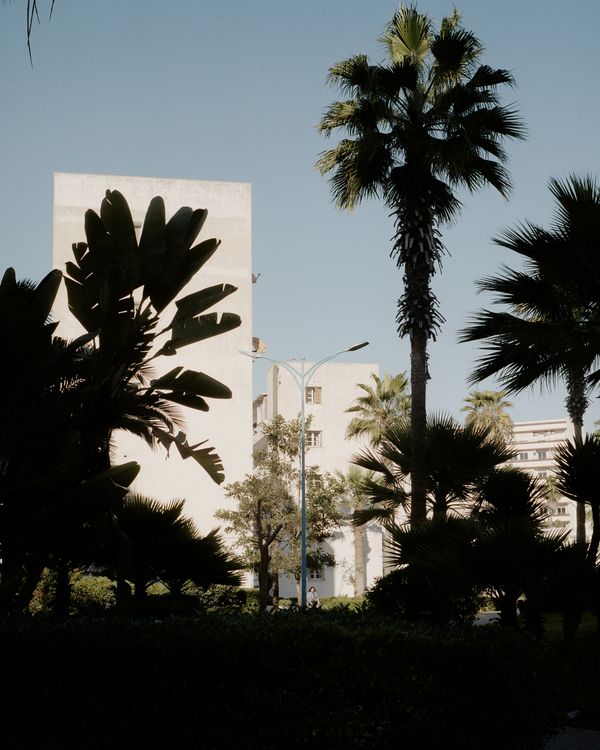 © Marie-Pierre Cravedi - Image from the Amato photography project