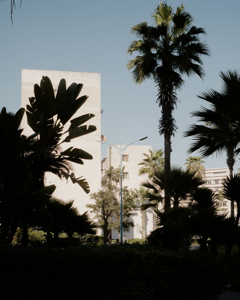 © Marie-Pierre Cravedi - Image from the Amato photography project