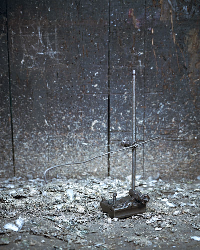 © Marie-Pierre Cravedi - Image from the Amato photography project