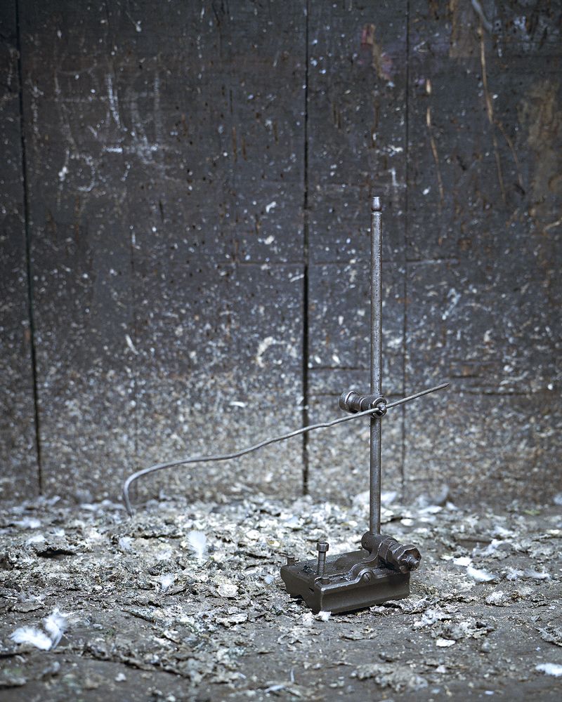 © Marie-Pierre Cravedi - Image from the Amato photography project