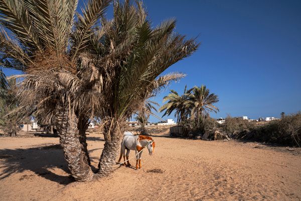 © Francesco Bellina - Image from the EX VOTO IN ZARZIS photography project