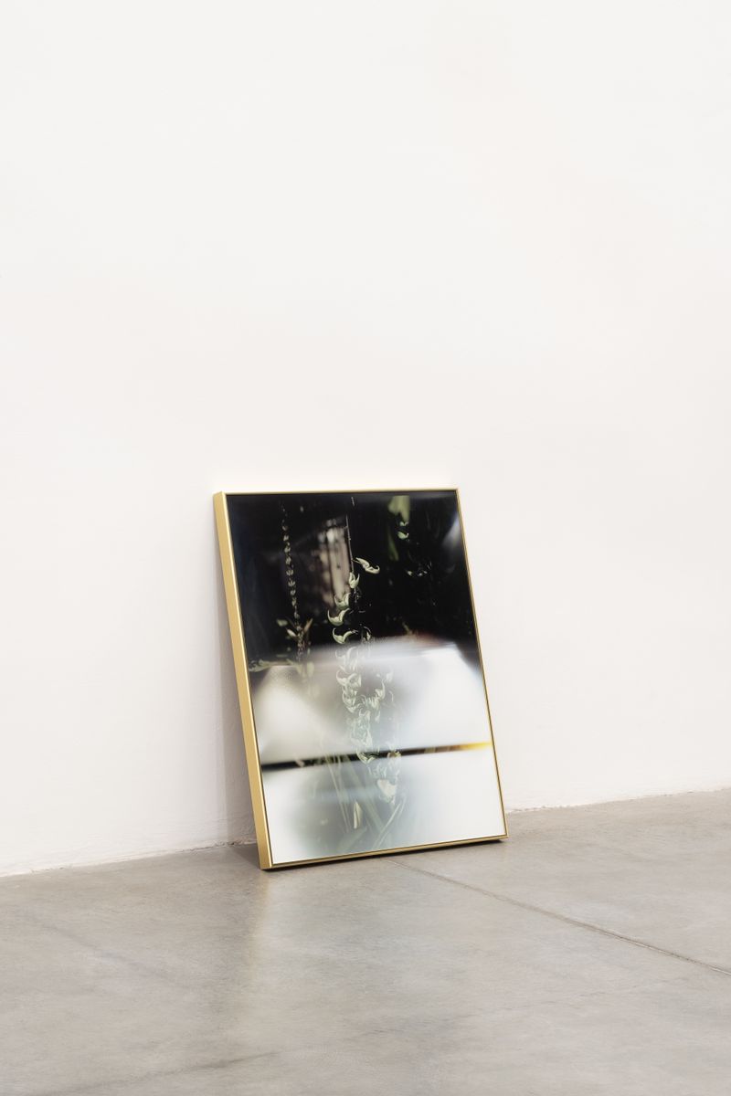© CLARA DE TEZANOS - Ascending in the Fall, Analog photograph print.