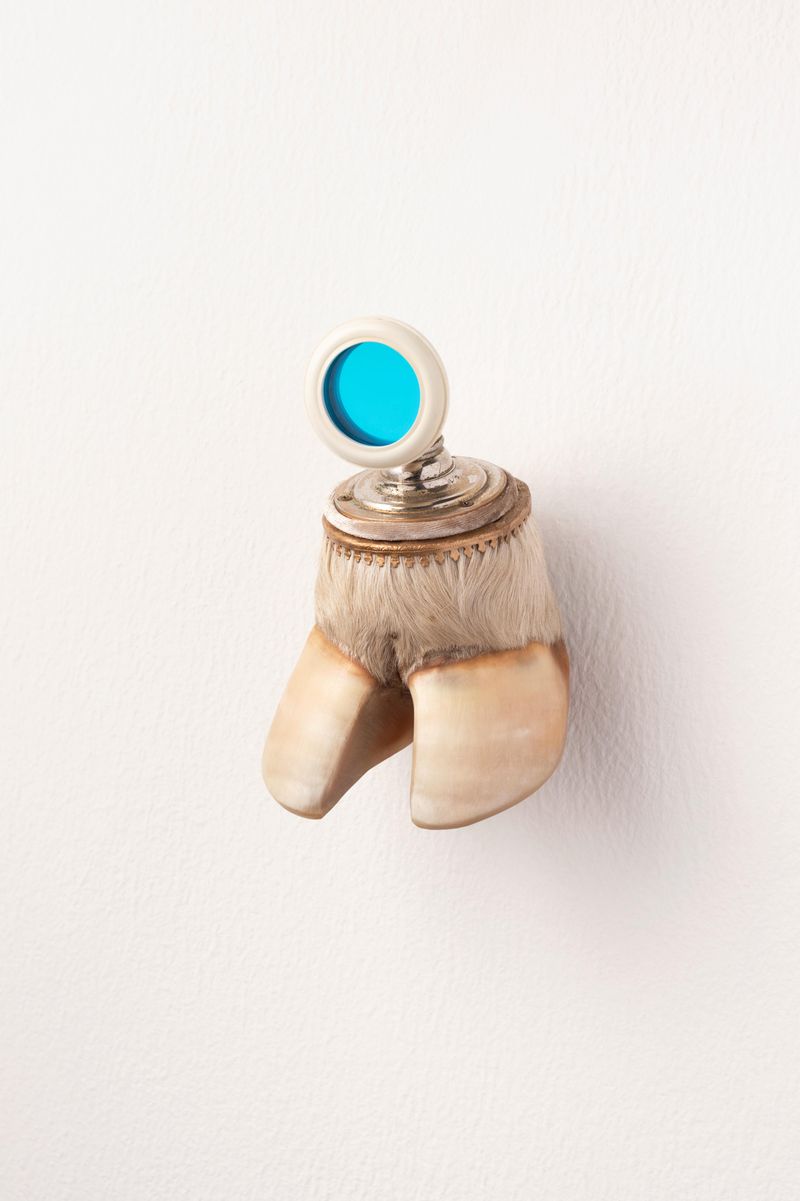 © CLARA DE TEZANOS - Bird Scandal in the garden, Objets trouvés