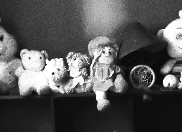 © carlos z. bermejo - Image from the Instinto/insecto photography project