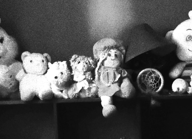 © carlos z. bermejo - Image from the Instinto/insecto photography project