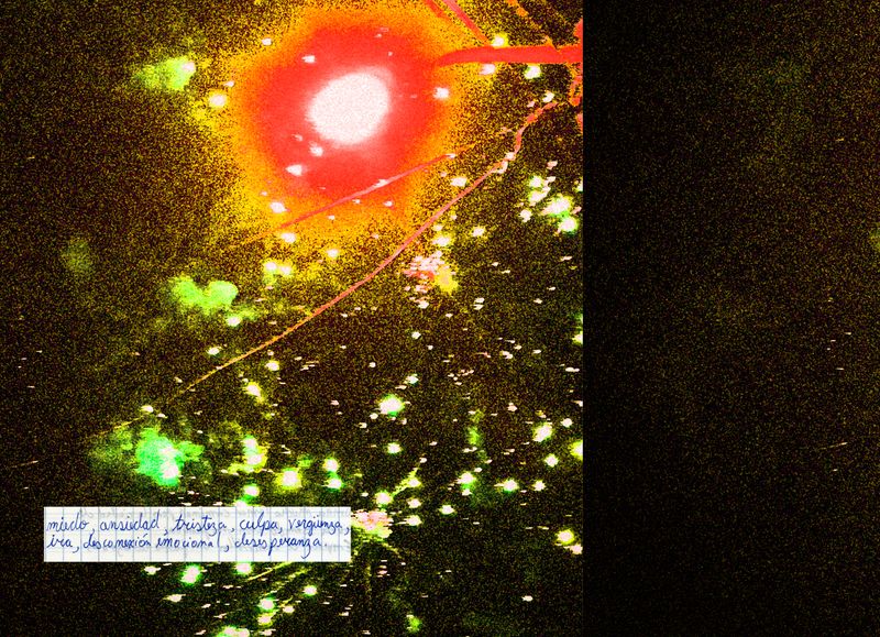 © carlos z. bermejo - Image from the Instinto/insecto photography project