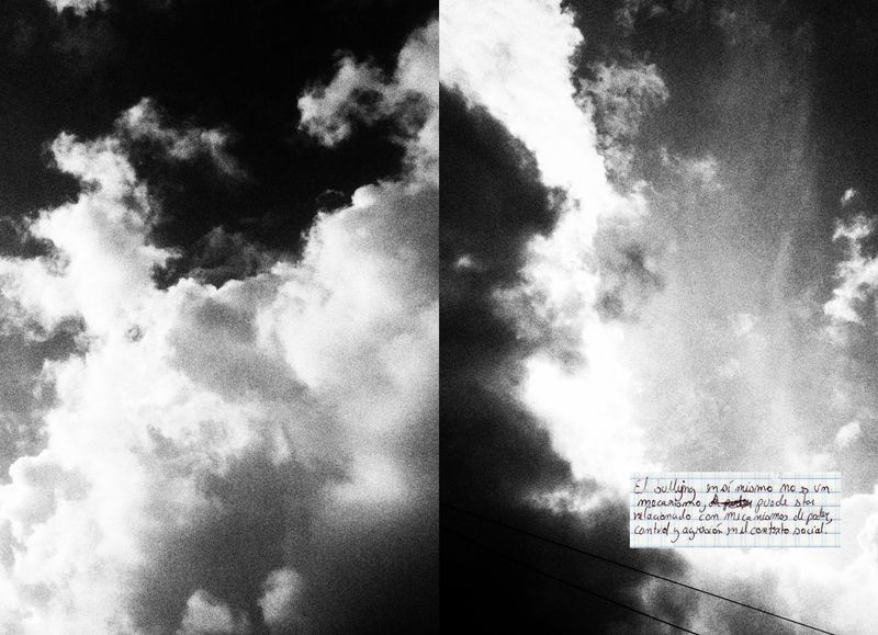 © carlos z. bermejo - Image from the Instinto/insecto photography project