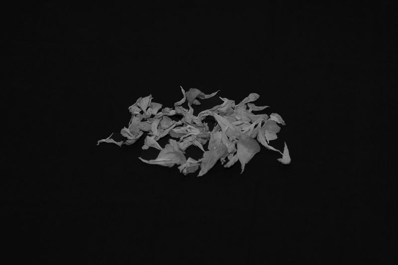 © Rachele Cipollini - Image from the Fragments of a body photography project