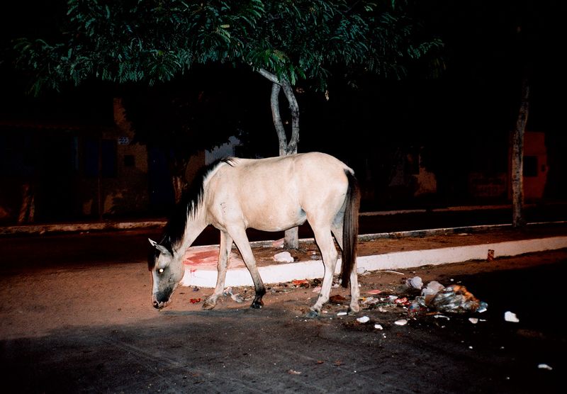 © Victor de Castro - Image from the Moon in Gemini photography project