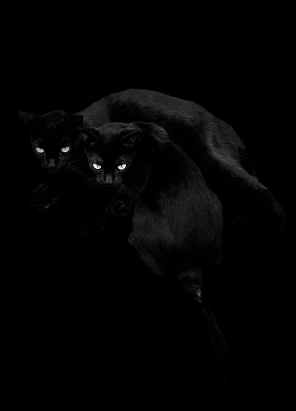 © Victor de Castro - Image from the Moon in Gemini photography project
