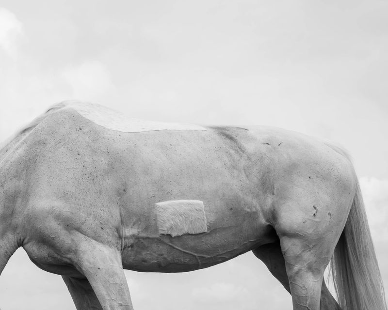 © Hilal Soreq - Image from the The Space Between Us photography project
