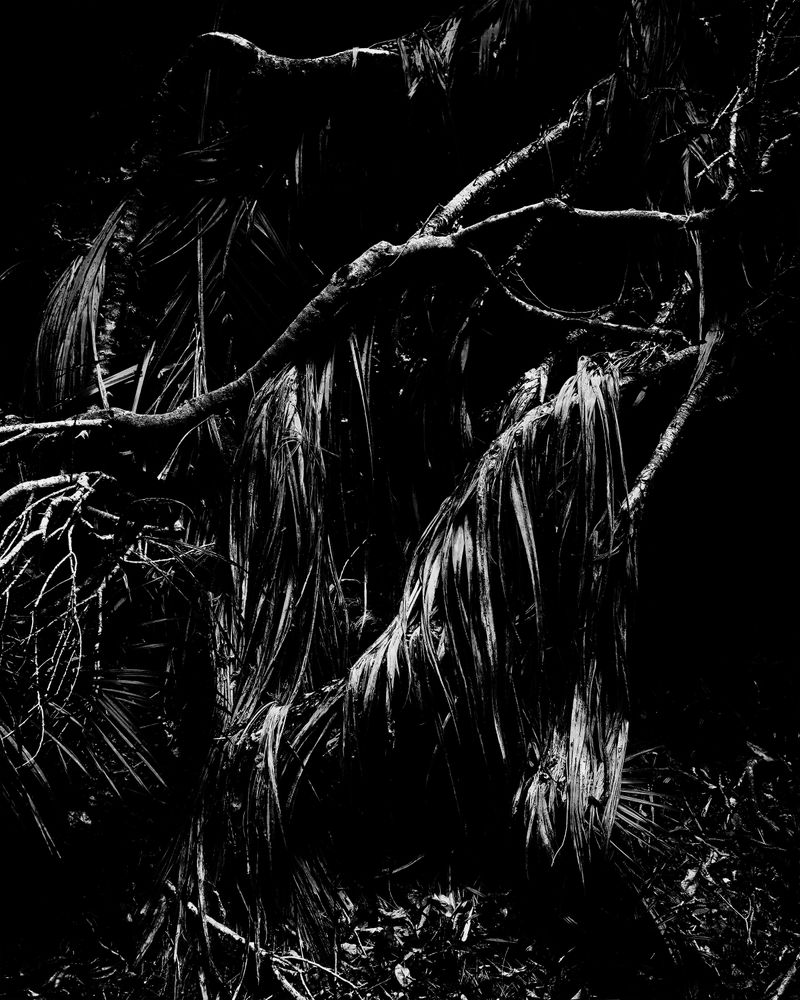 © Adam Thorman - 2024. VOID. An image with only highlights and black.