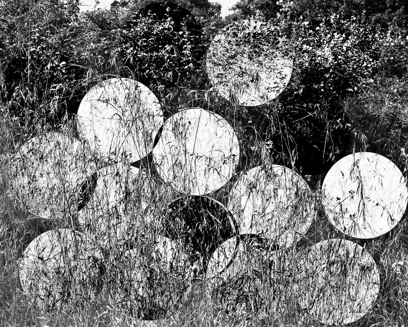 © Adam Thorman - 2016. VOID. An image full of inverted and reinverted circles.