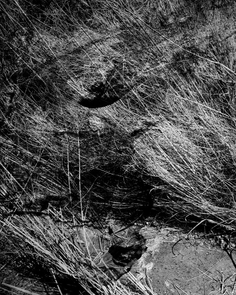 © Adam Thorman - 2026. VOID. Two images blended into each other.