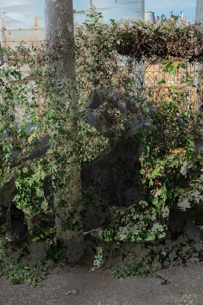 © Shinichiro Shiraishi - Image from the Holon; photography project