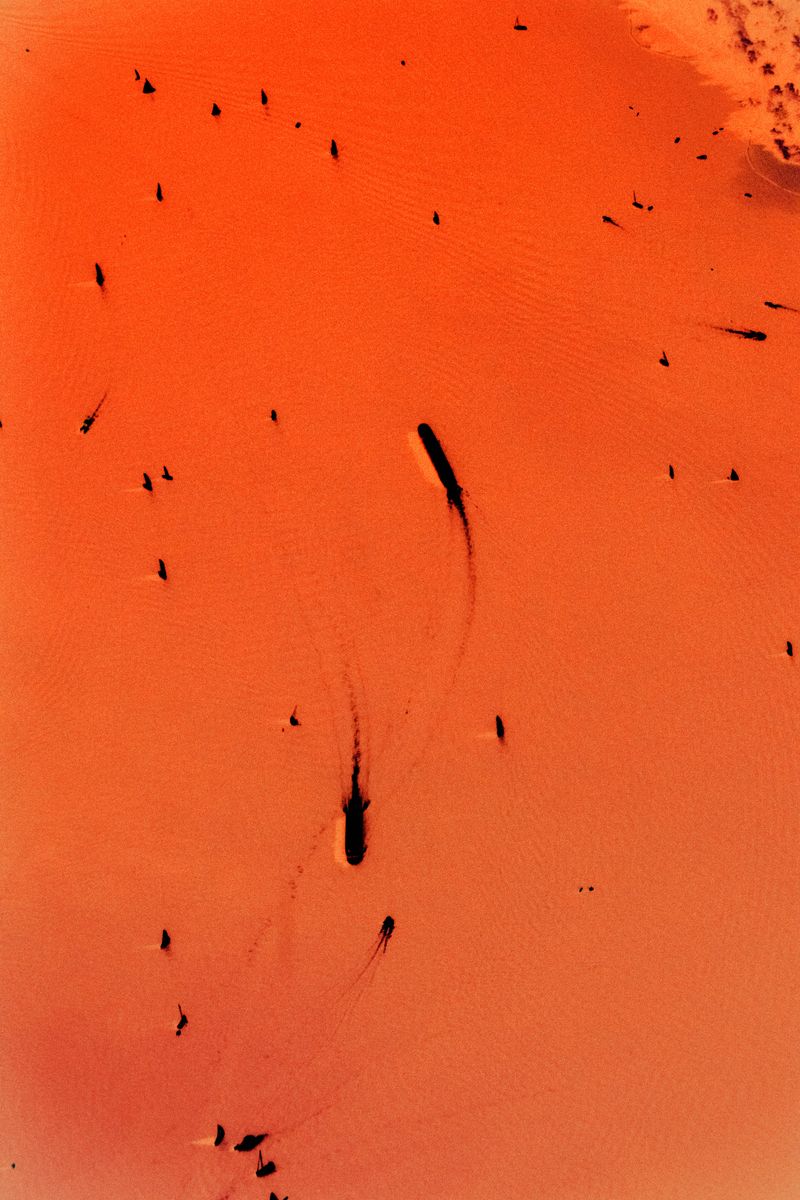 © Shinichiro Shiraishi - Image from the Holon; photography project