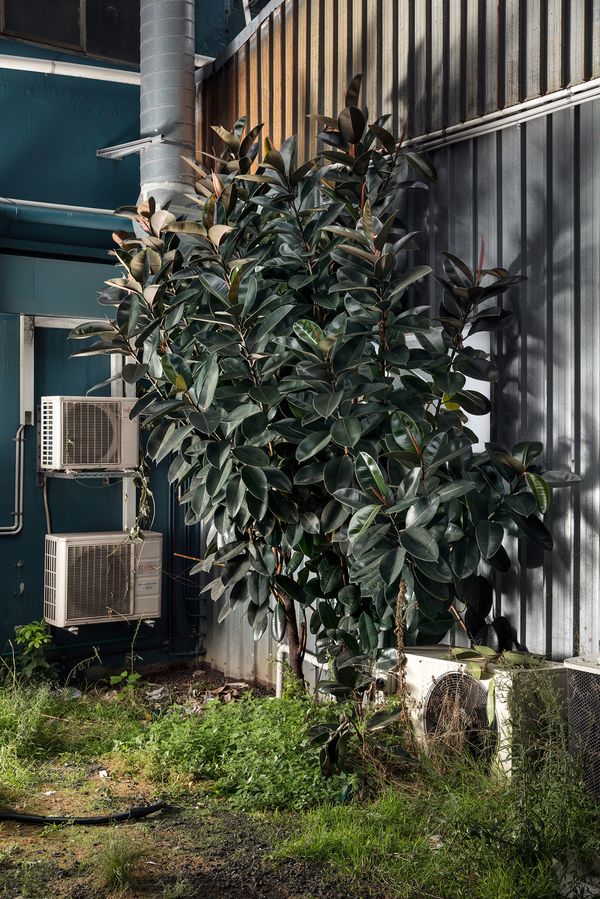 © Andrew Curtis - Image from the Office Works photography project