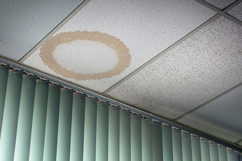 © Andrew Curtis - Image from the Office Works photography project