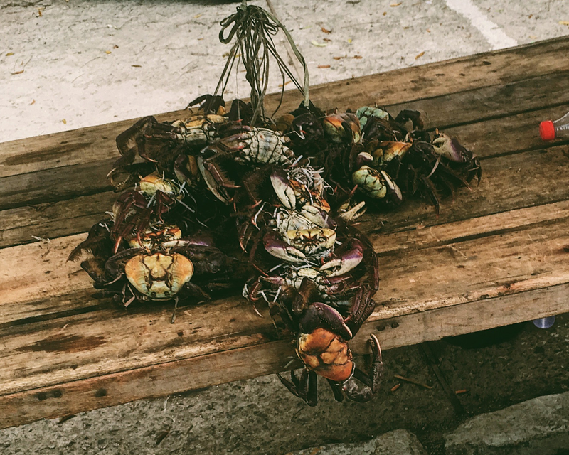 © Adriane de Souza - Image from the Duque de Caxias photography project