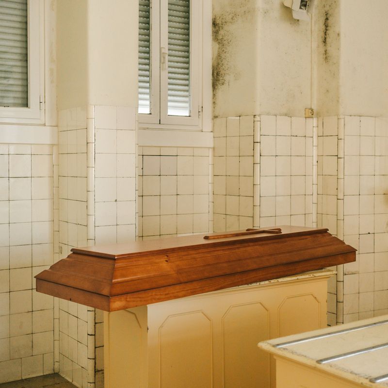 © Bárbara Monteiro - Coffin lid at a hospital morgue