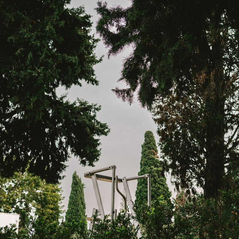 © Bárbara Monteiro - Stairway to heaven