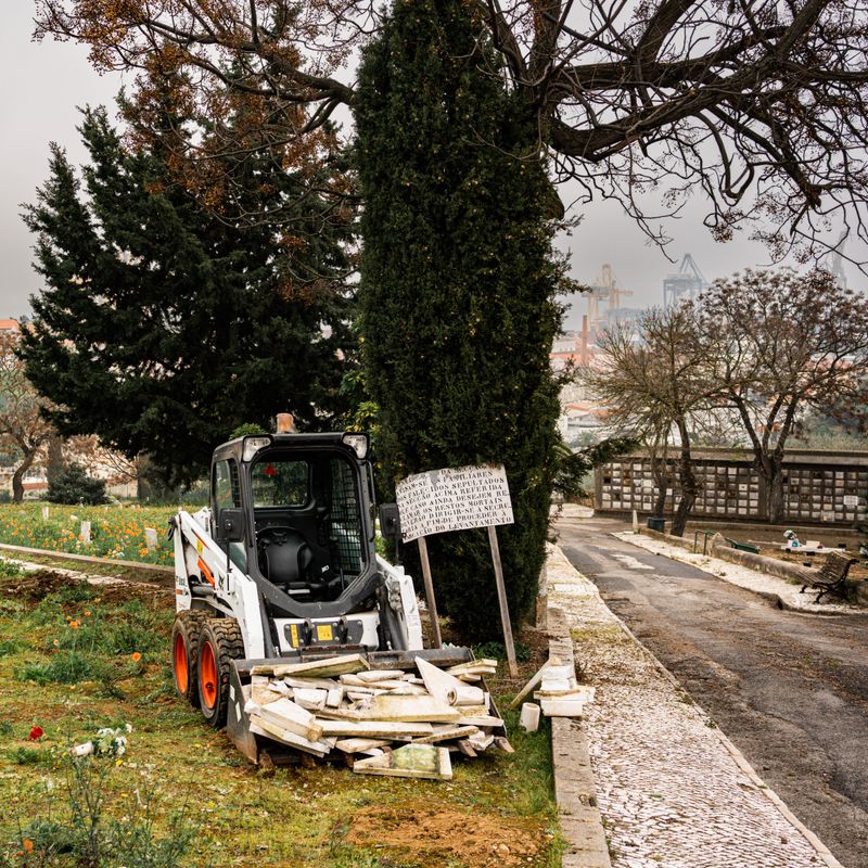 © Bárbara Monteiro - Maintenance work at a cemetery in Lisbon