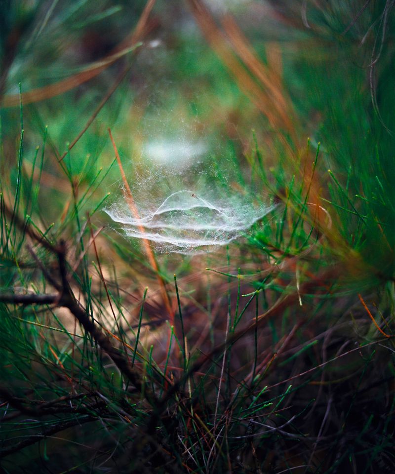 © Shubham Lodha - Image from the Half-finished Heaven photography project