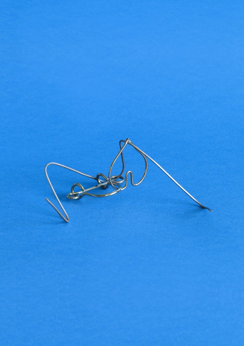 © Lucija Rosc - A metal brain teaser we used to play with/solve a lot in our family when I was a child.