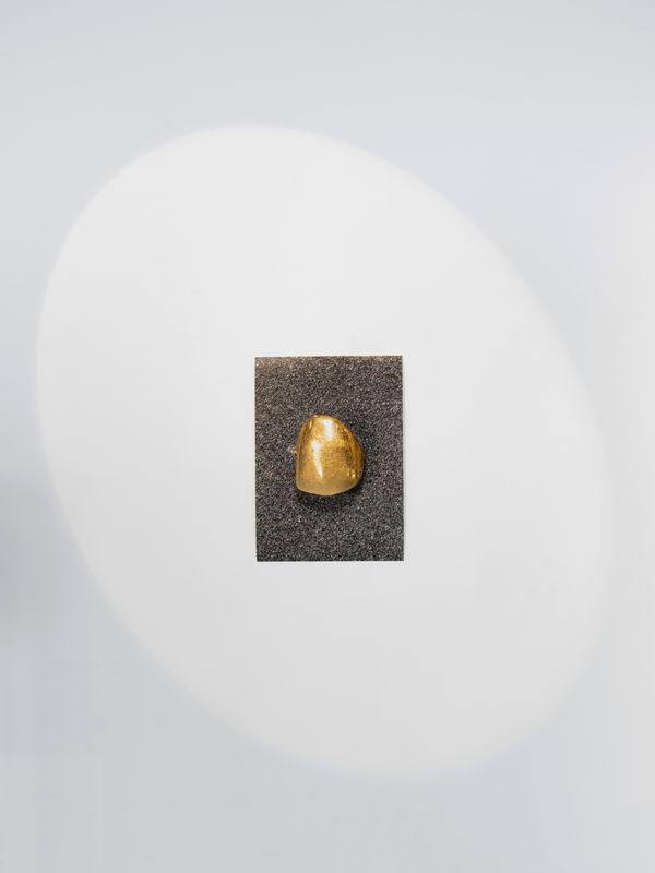 © Lucija Rosc - Mica's golden dental crown, 2023