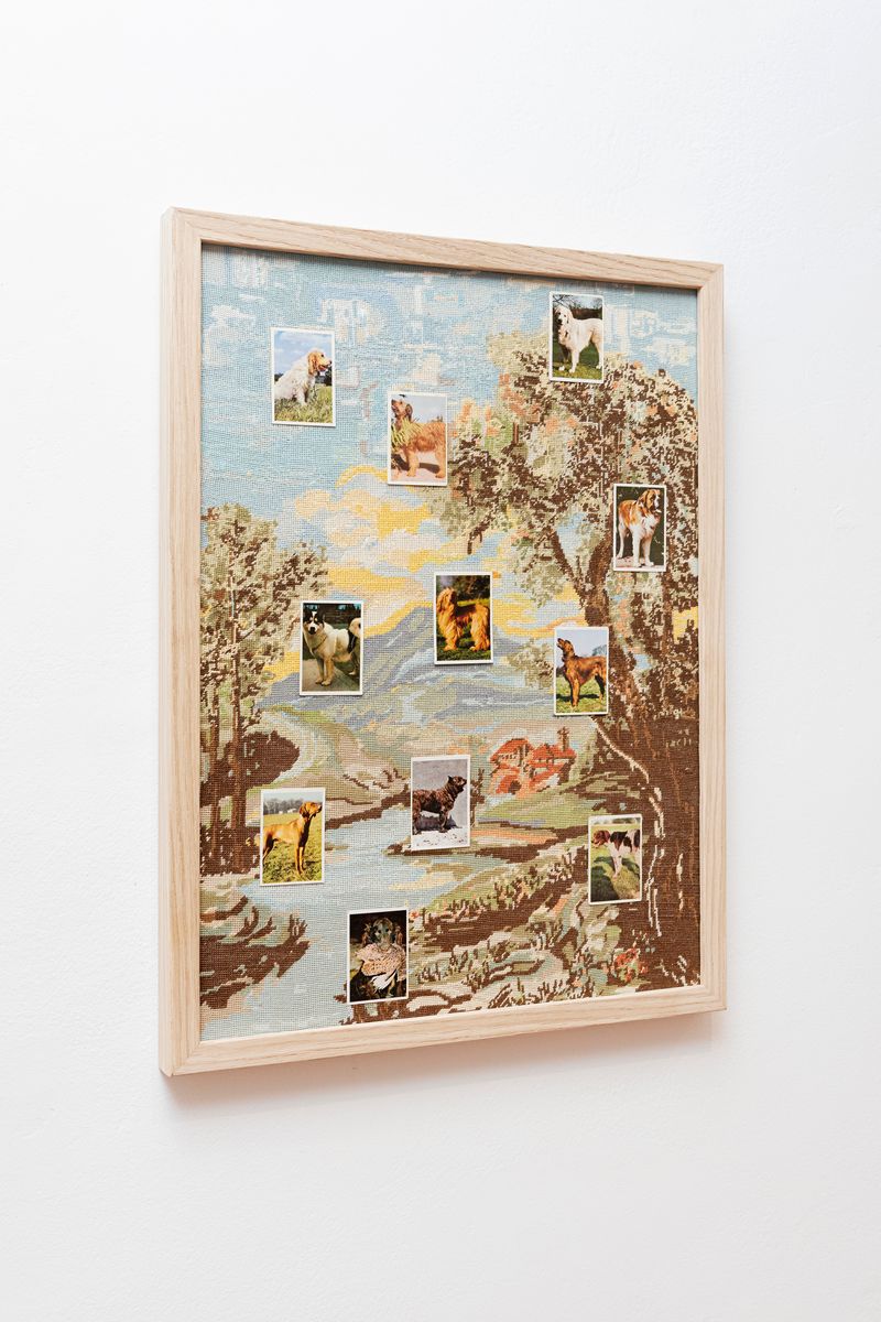 © Lucija Rosc - Image from the Podmet (Thickening) photography project