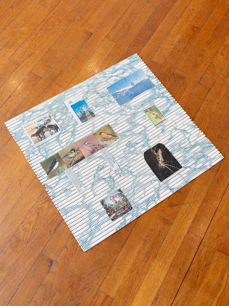 © Lucija Rosc - Image from the Podmet (Thickening) photography project