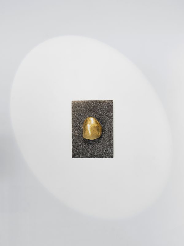 © Lucija Rosc - Mica's golden dental crown, 2023
