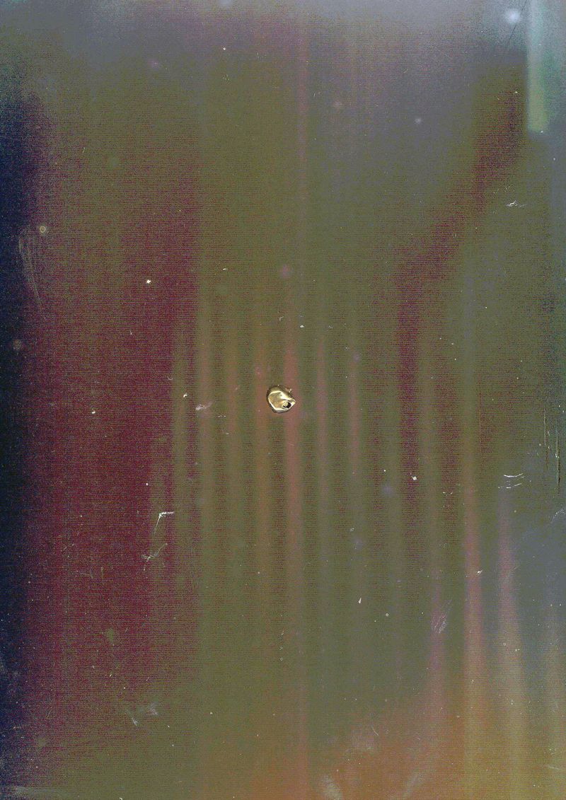 © Lucija Rosc - Optically scanned grandmother's dental veneer 2, 2020