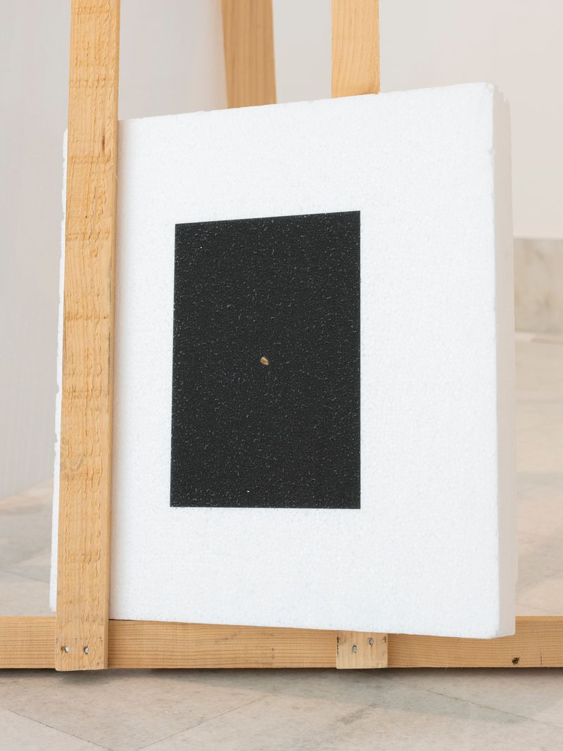 © Lucija Rosc - Optically scanned grandmother's dental veneer 3, 2020