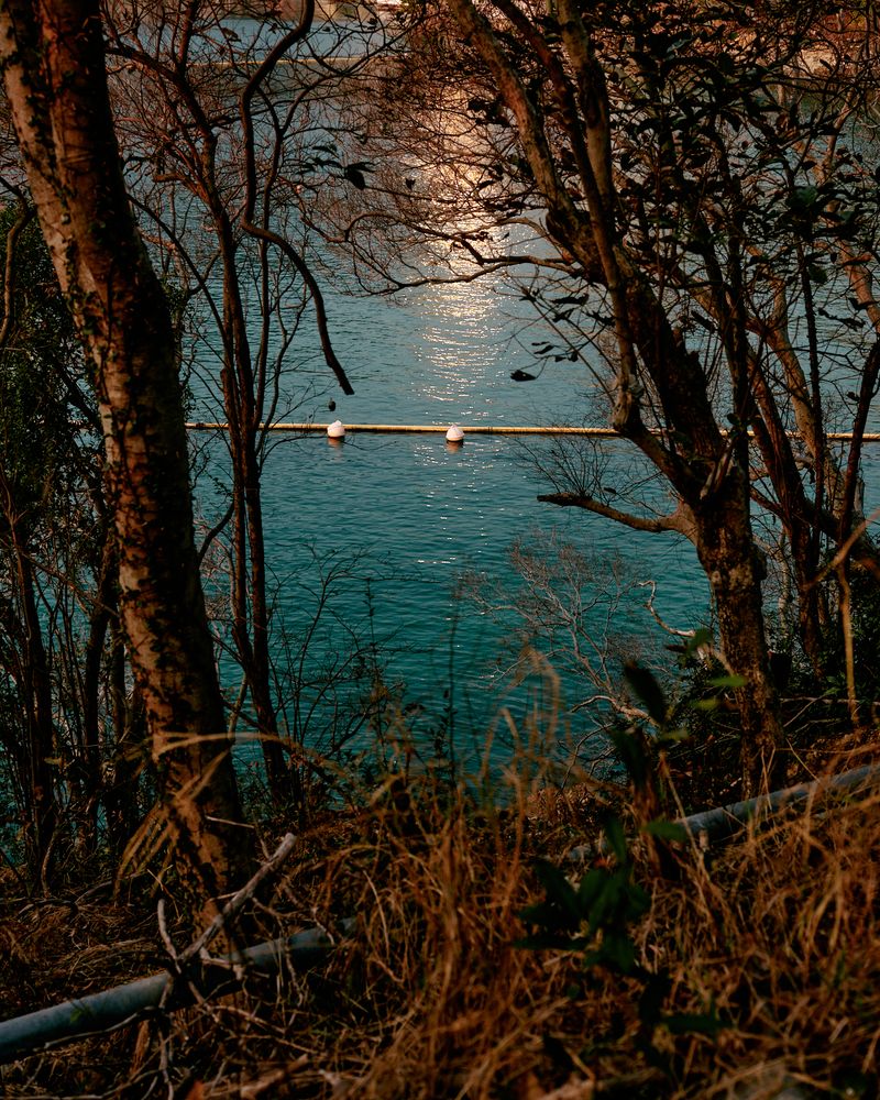 © Chung-wai Wong - The shark net at the Middle Bay Beach.