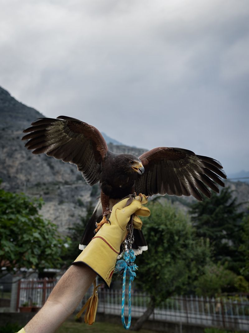 © Matteo Trevisan - Image from the We are still dreaming photography project