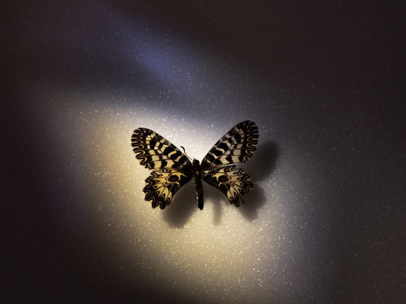 © Matteo Trevisan - Image from the We are still dreaming photography project