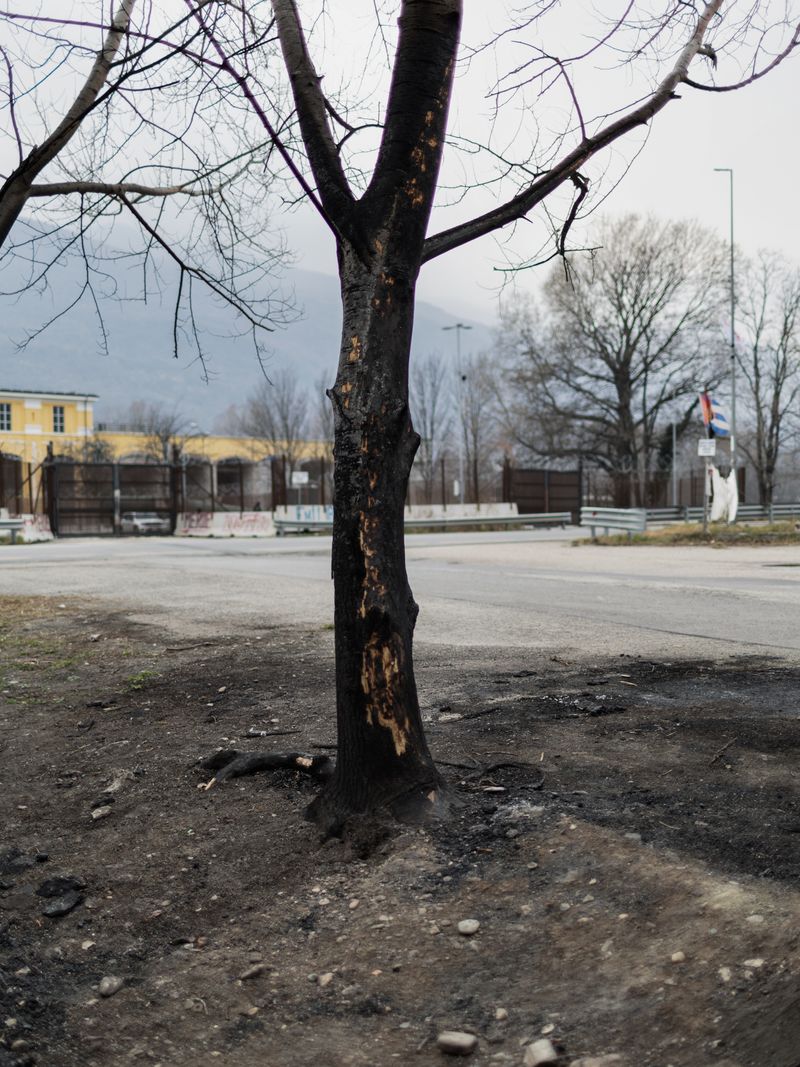 © Matteo Trevisan - Image from the We are still dreaming photography project