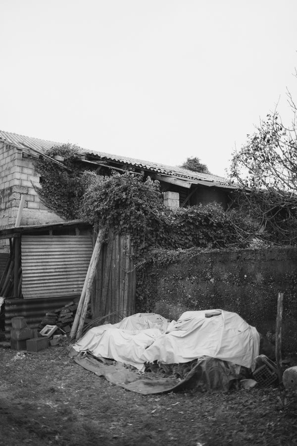 © Matteo Trevisan - Image from the Over the riverbank photography project