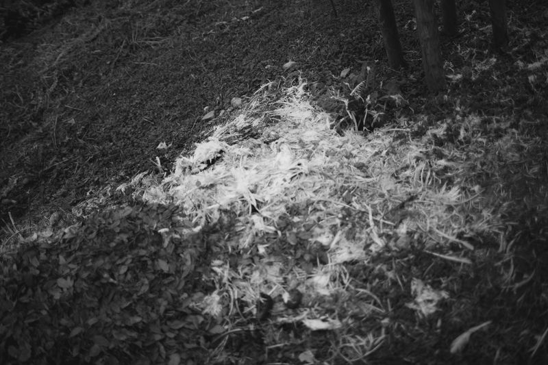 © Matteo Trevisan - Image from the Over the riverbank photography project