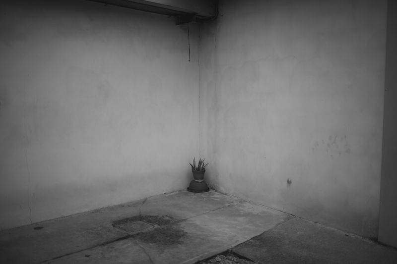 © Matteo Trevisan - Image from the Over the riverbank photography project