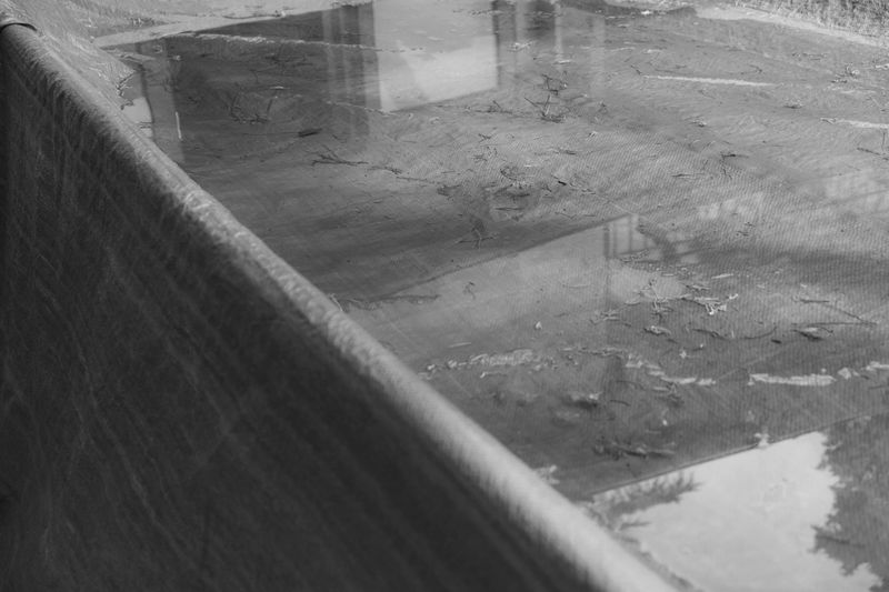 © Matteo Trevisan - Image from the Over the riverbank photography project