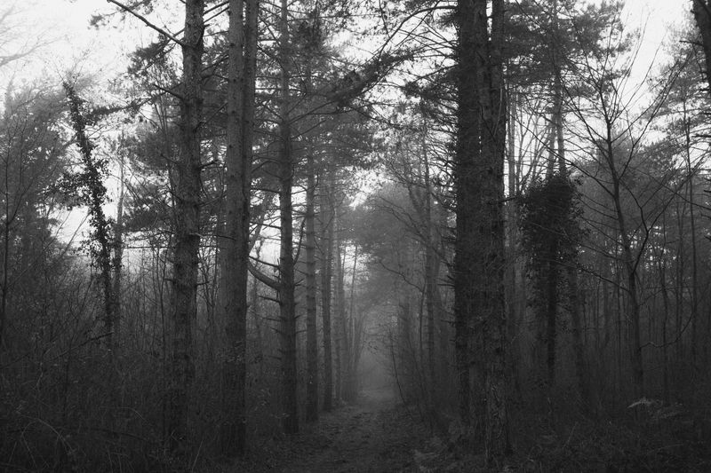 © Matteo Trevisan - Image from the Over the riverbank photography project