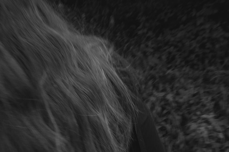© Matteo Trevisan - Image from the Over the riverbank photography project