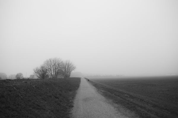 © Matteo Trevisan - Image from the Over the riverbank photography project