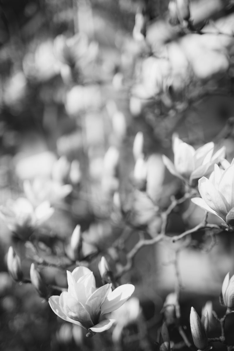 © Matteo Trevisan - Image from the Over the riverbank photography project
