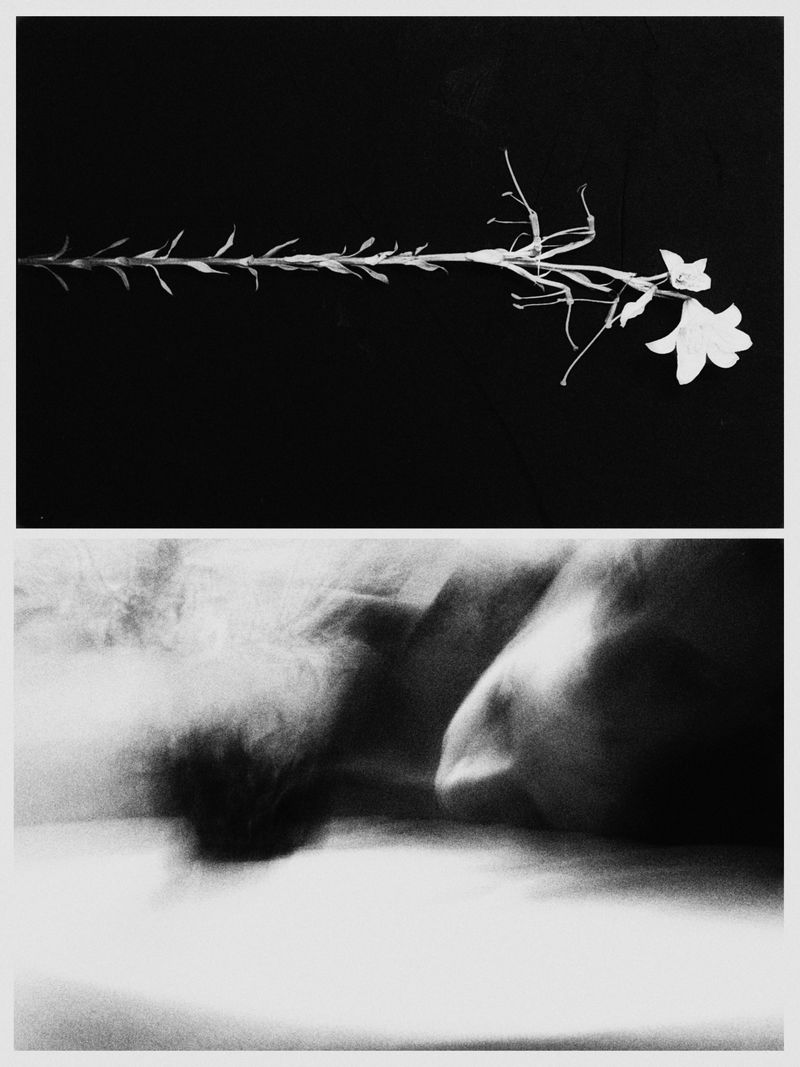 © yulia shybirkina - Image from the sole hope photography project