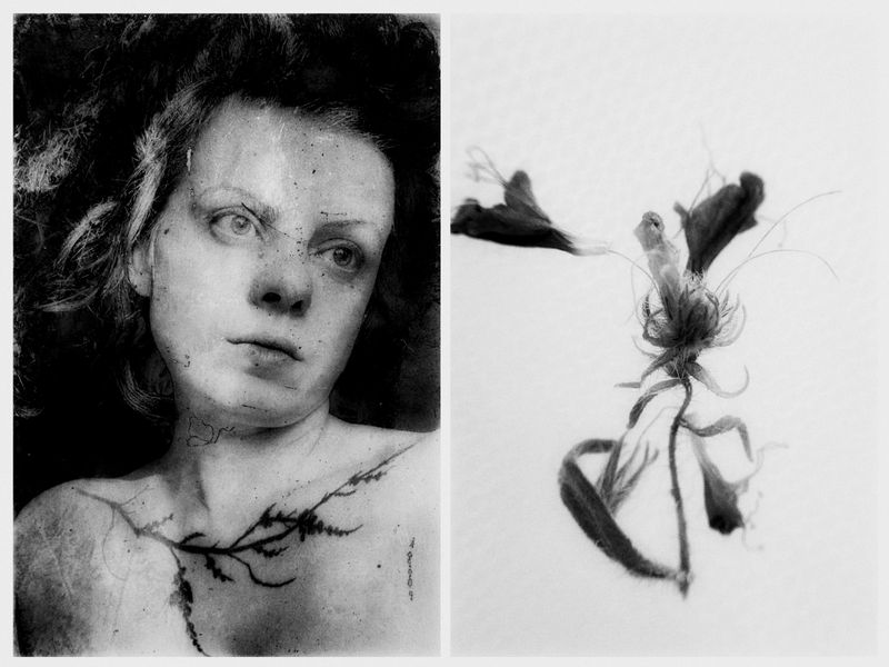 © yulia shybirkina - Image from the sole hope photography project