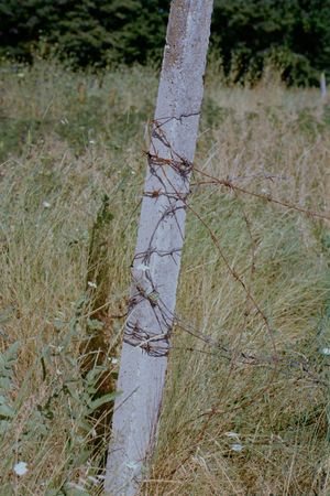 Safelight Paper - Borders and Boundaries - 3rd issue